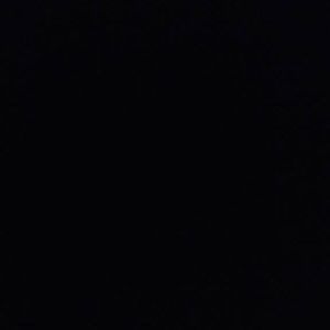 Meet your Posher, Donovan